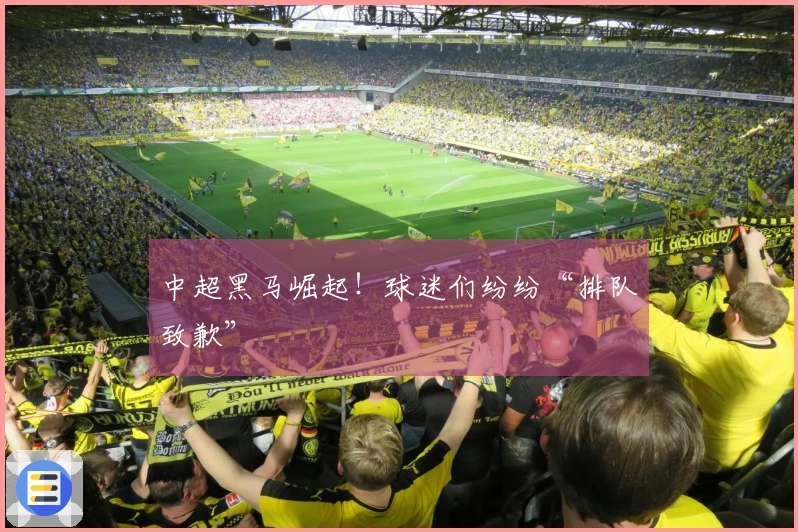 中超黑马崛起！球迷们纷纷“排队致歉”