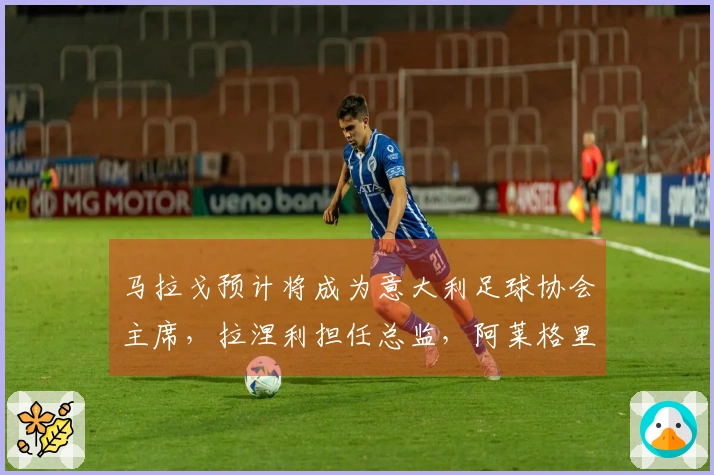 马拉戈预计将成为意大利足球协会主席，拉涅利担任总监，阿莱格里执教国家队
